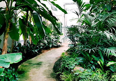 Home projects 05.jpg